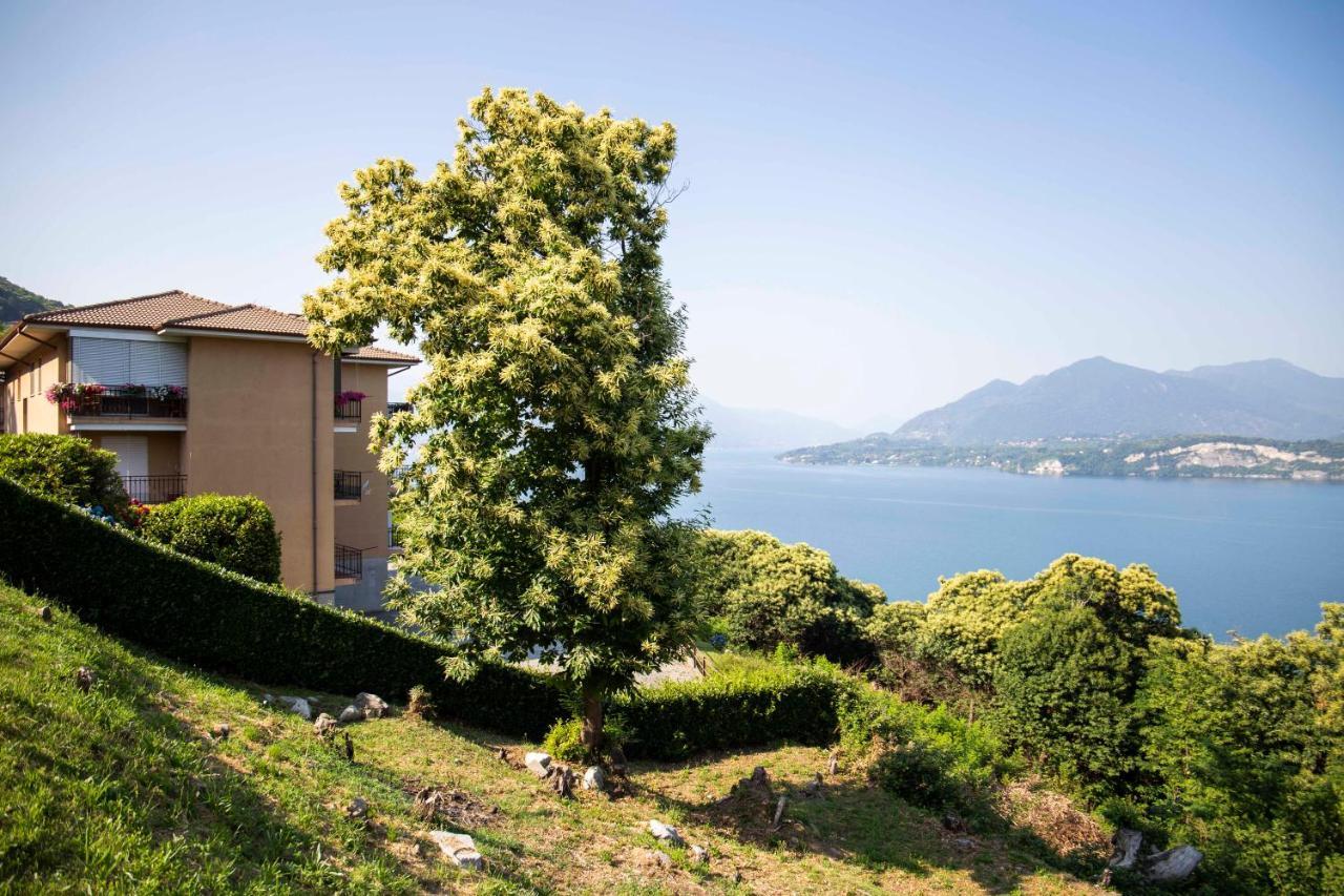 Cloud 9 - Apartment With Stunning Lake View 贝尔吉拉泰 外观 照片